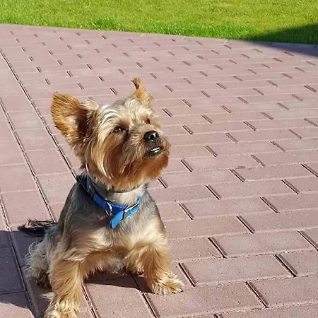 U Sasiadow Mielno (Koszalin)