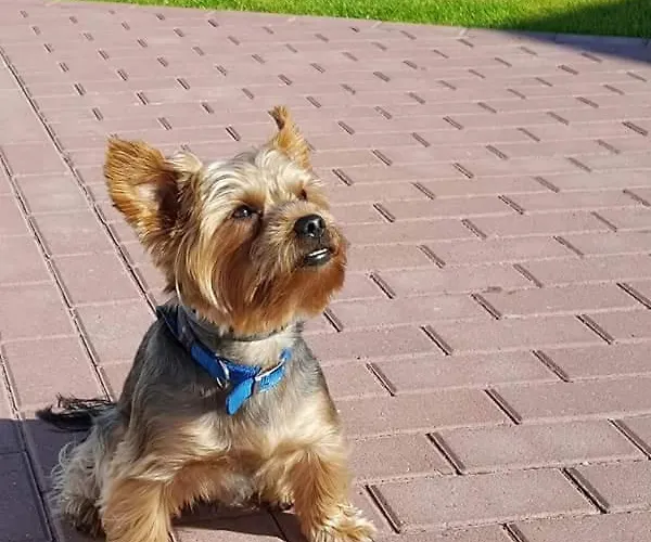 U Sasiadow Mielno (Koszalin)